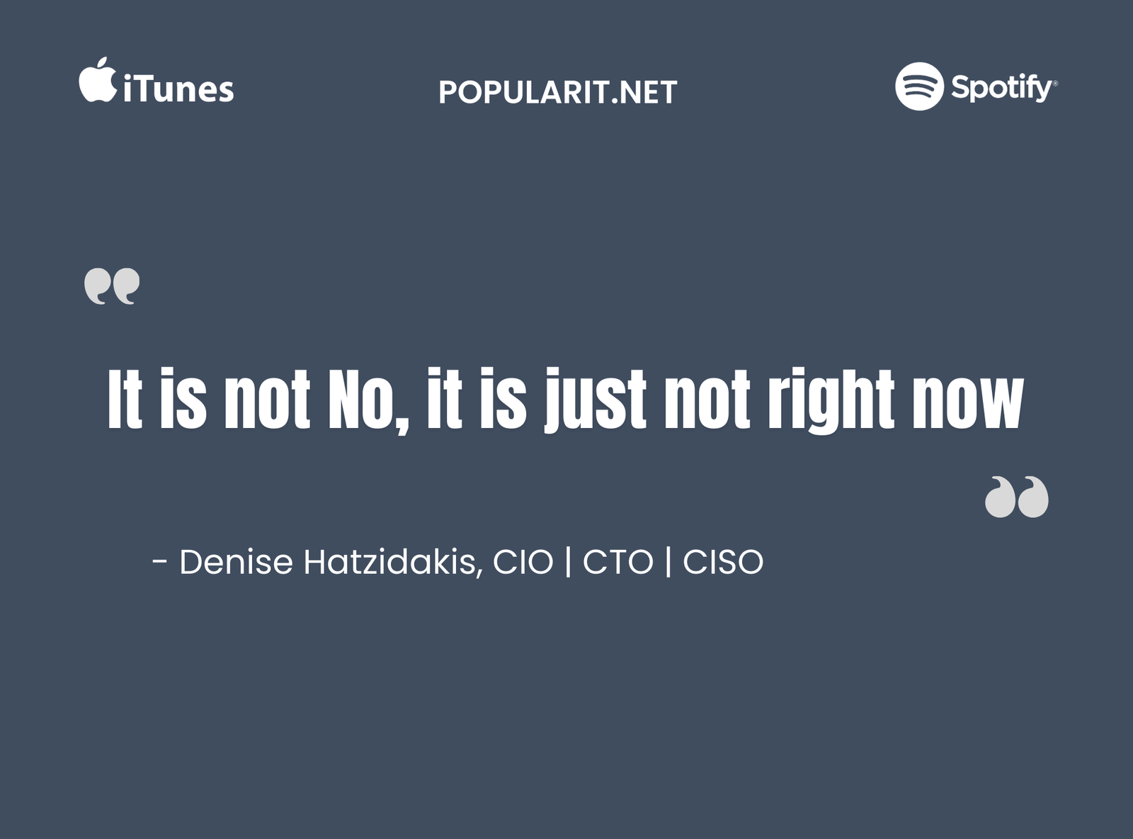 348- How To Speak To Your IT Leadership For Big Results with Denise Hatzidakis