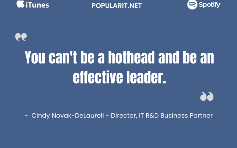 357- IT Budget Hell by Cindy Novak- DeLaurell