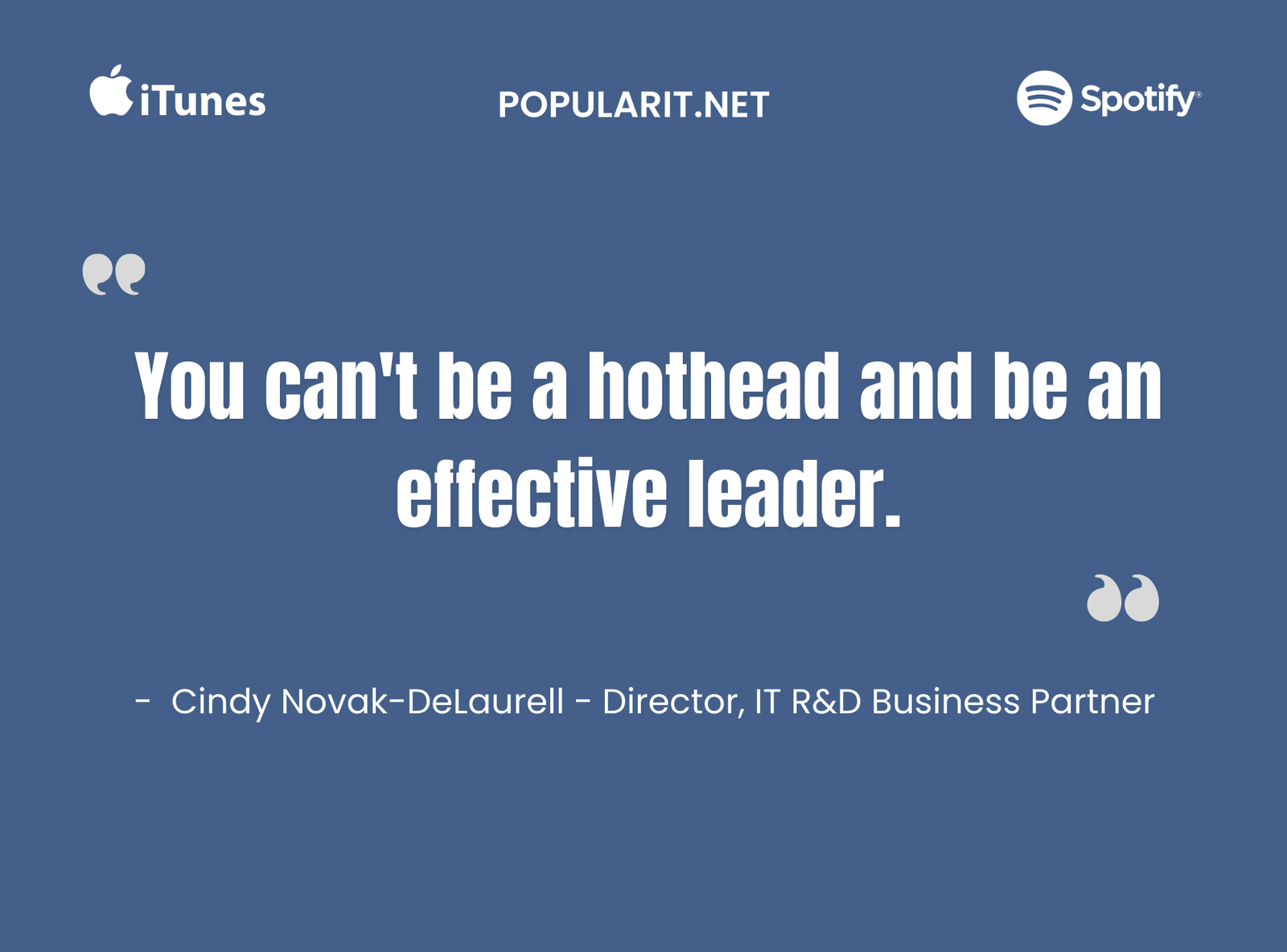 357- IT Budget Hell by Cindy Novak- DeLaurell